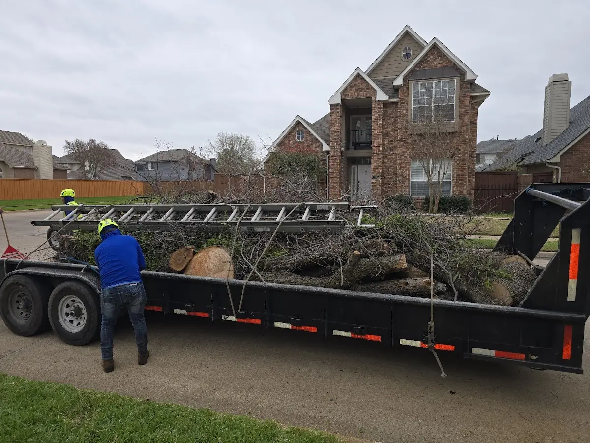 Expert Lot Clearing with proper safety equipment in Laclede
